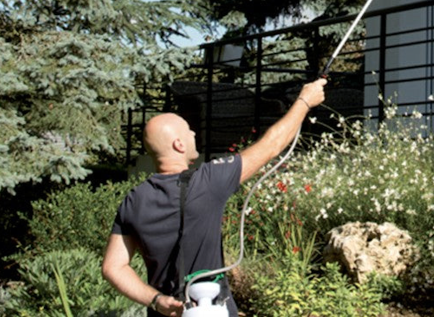 Pulvérisateur électrique